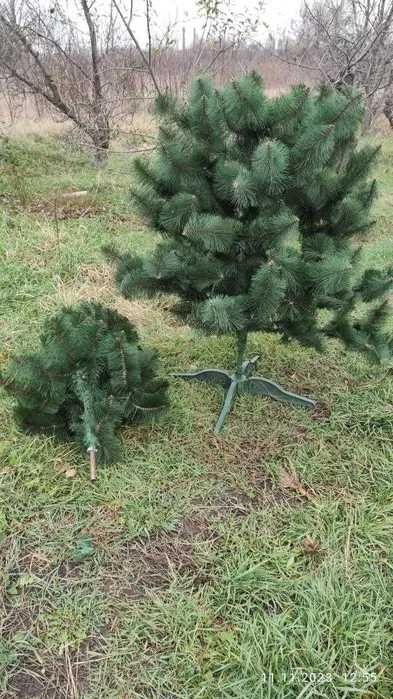 Сосна искусственная / Елка новогодняя