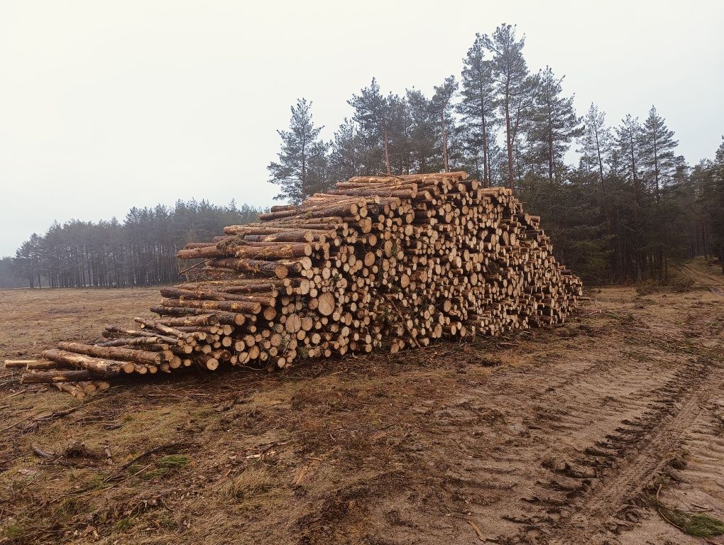 Sprzedam drewno opałowe iglaste