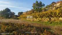 Venda Terreno, junto à estrada, Penha Longa, Marco de Canaveses