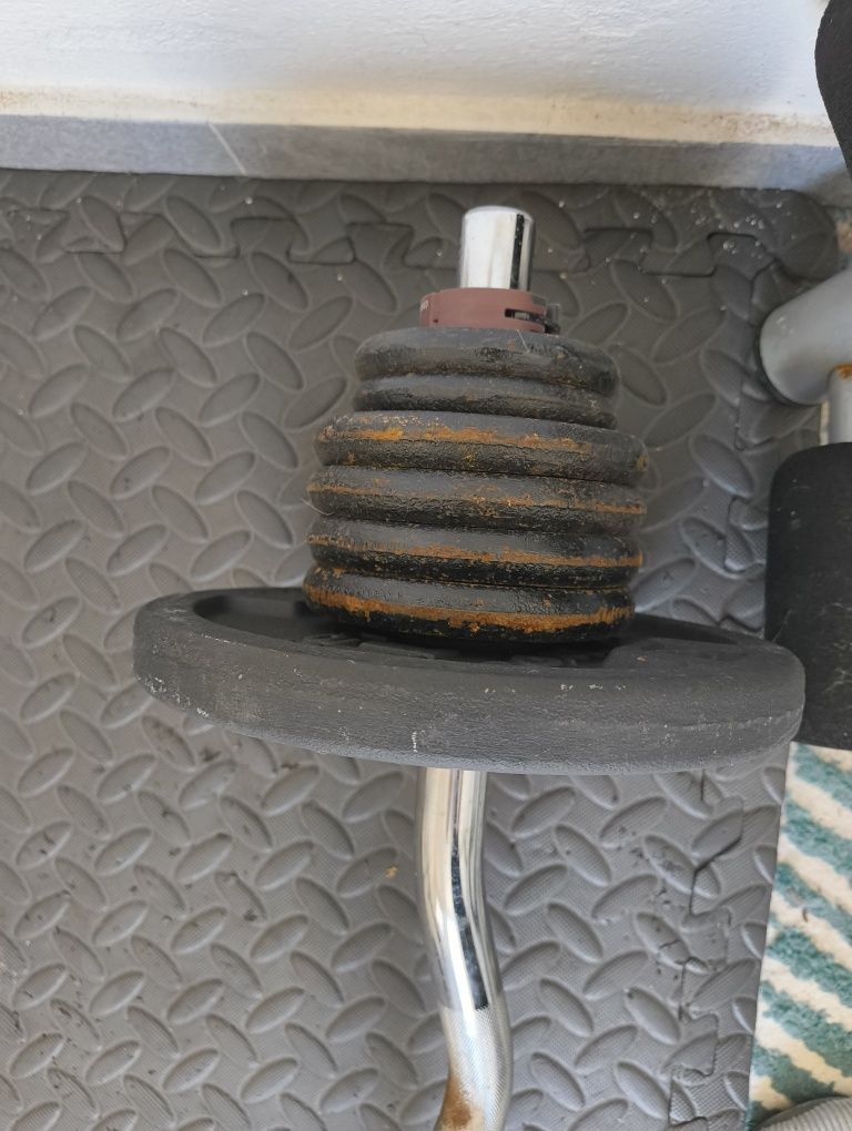 Barra e banco de musculação