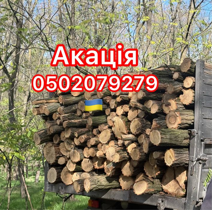 Дрова акации, акация