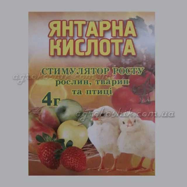 Янтарна (бурштинова) кислота 4г (10шт)