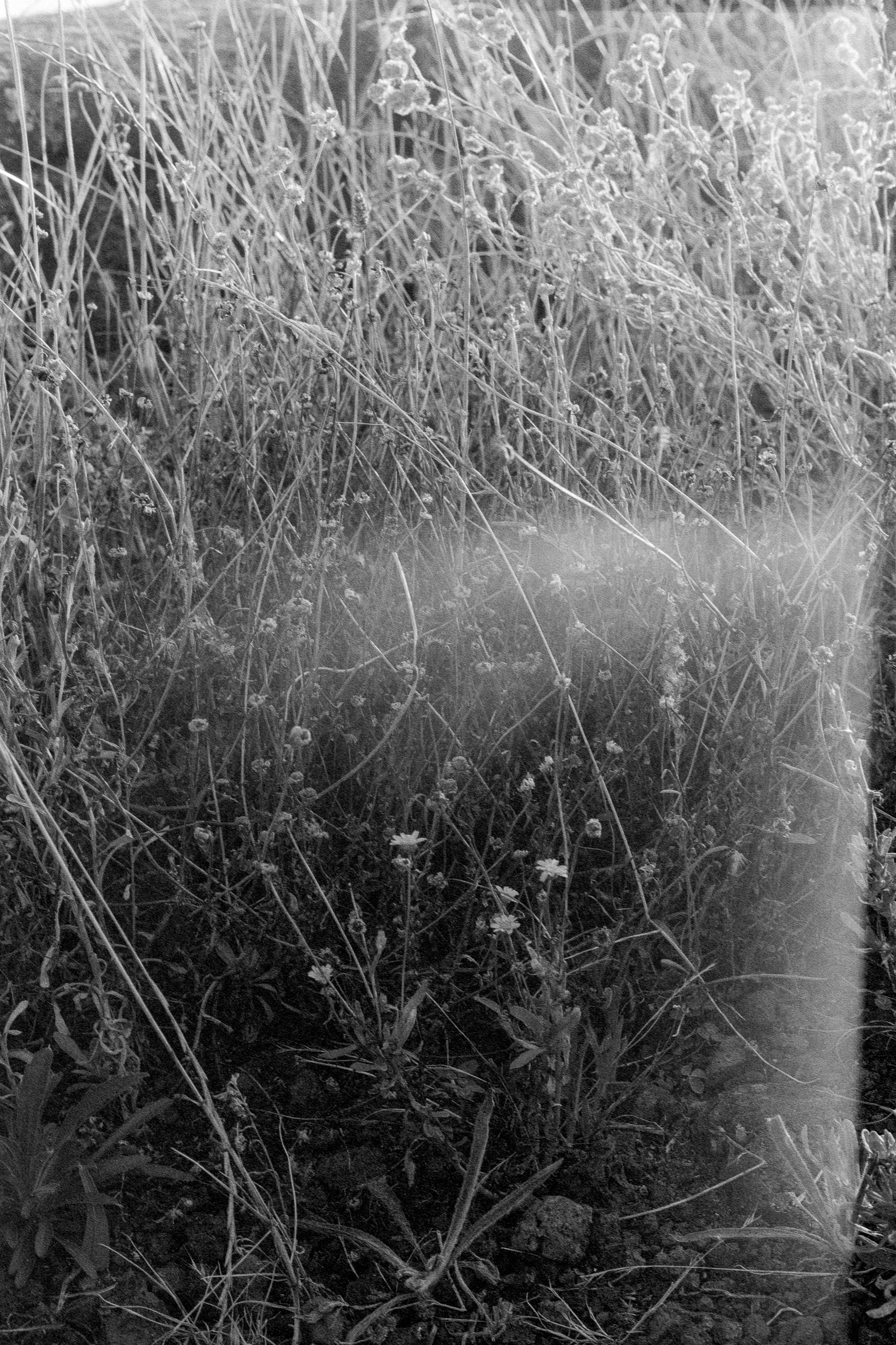 Máquina Fotográfica Leica III a IIIa + Summitar 5cm f/2