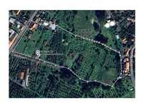 Conjunto de 3 habitações com 2.2ha na Chamusca