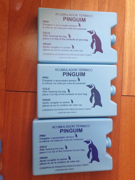 Acumulador de gelo para geleira ou mochila