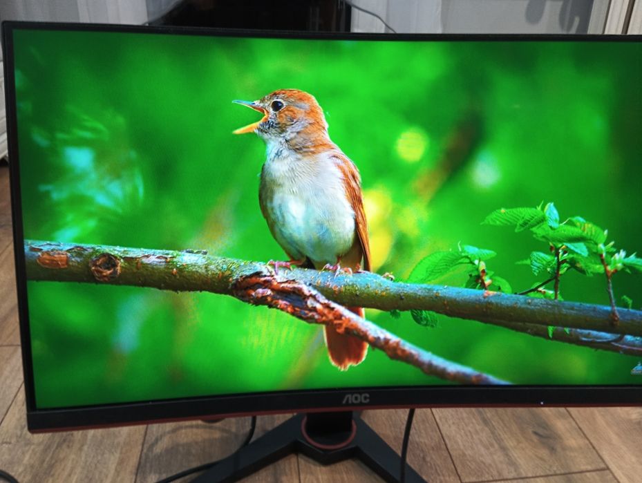 Monitor gamingowy AOC C24G1 24