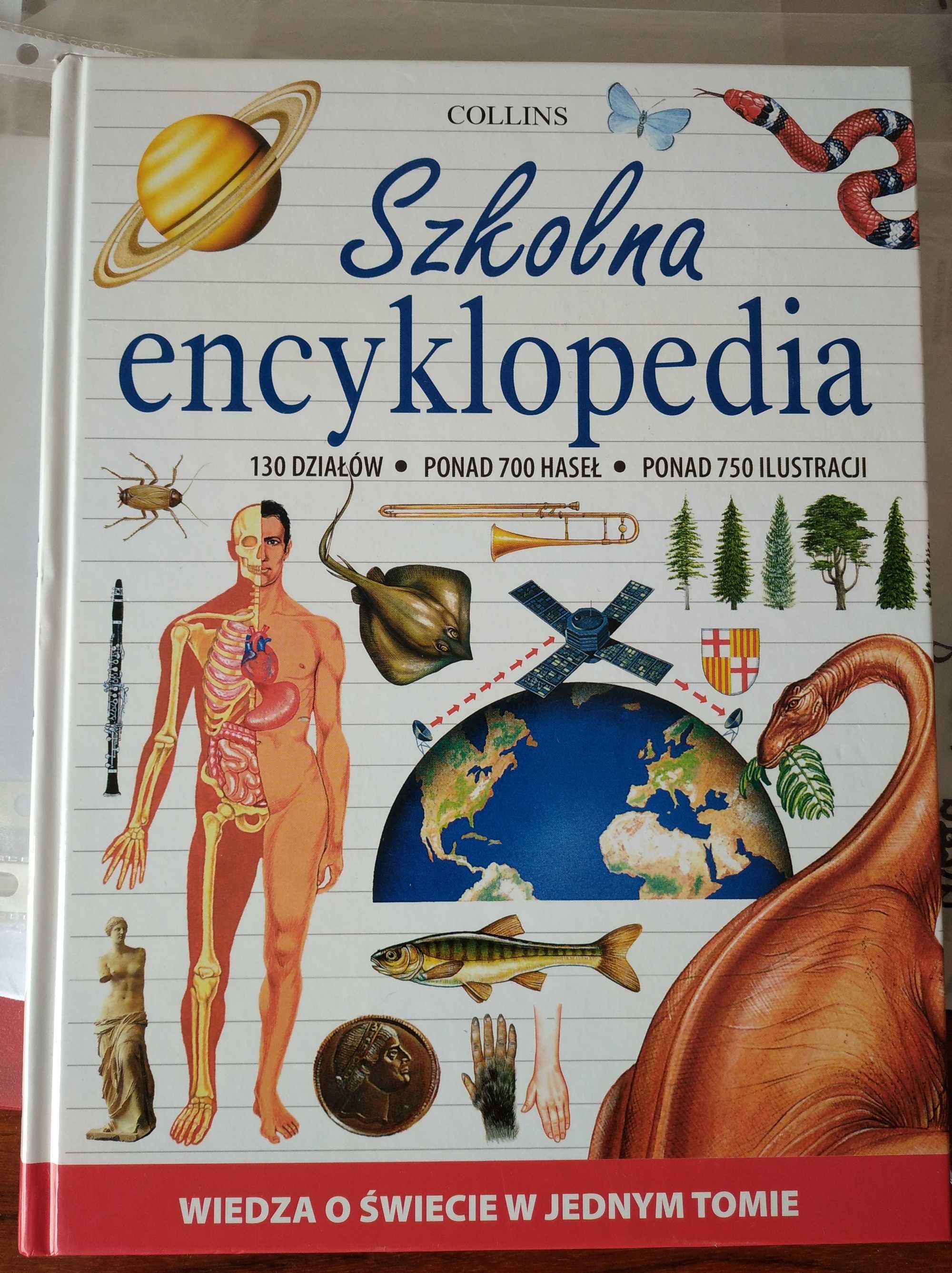 Encyklopedia szkolna