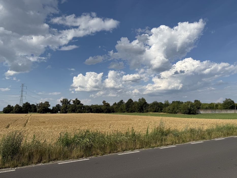 Działka budowlano-usługowa 1ha, Krzyżowice