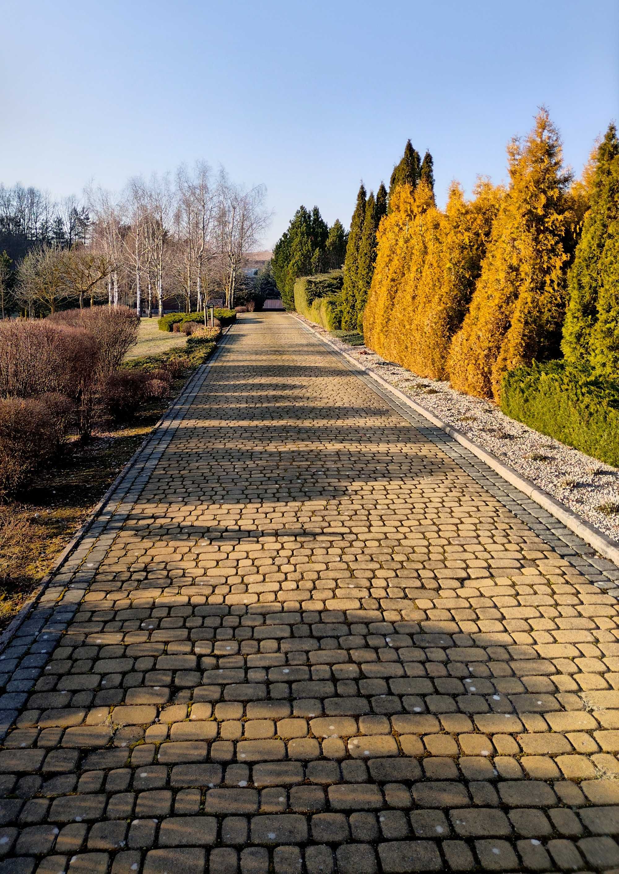 Działka z linią brzegową jeziora i pomostem. Płociczno, gm. Ełk