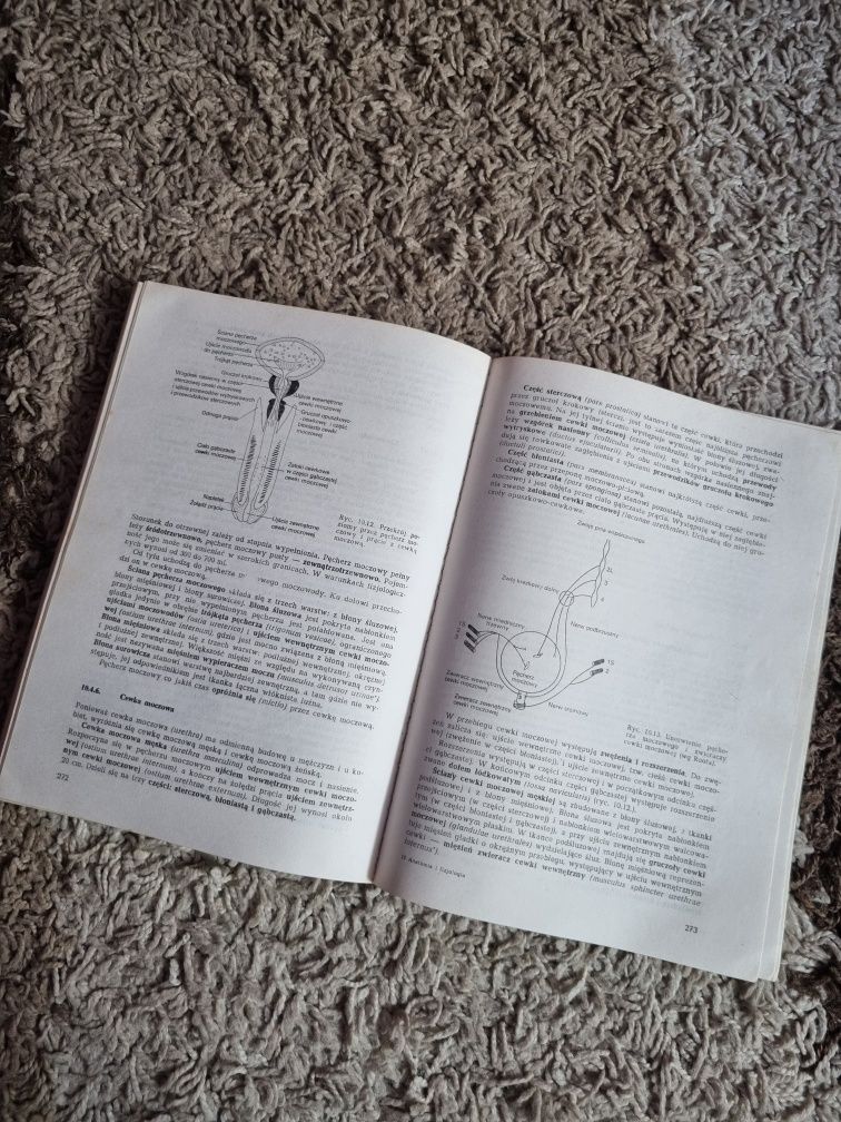 Gołąb Traczyk Anatomia i fizjologia człowieka - farmacja