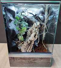 Terrarium szklane nr43 40/40/60 dla gekona orzęsionego NA ZAMÓWIENIE