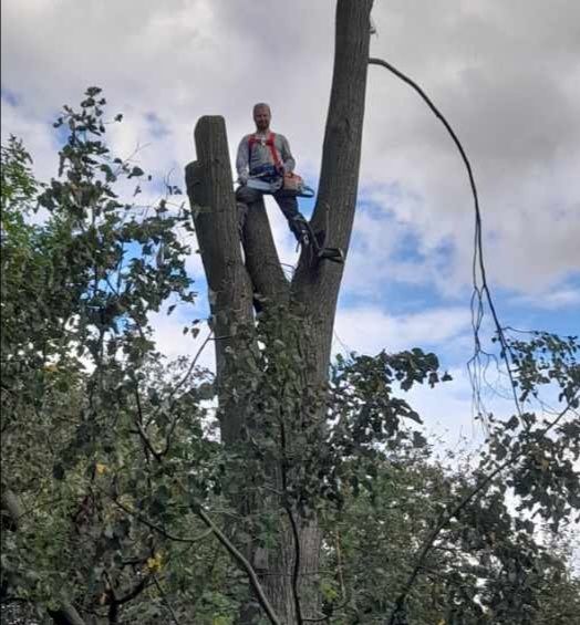 Wycinka drzew,usługi RĘBAKIEM, sprzątanie liści, kultywacja ogródka
