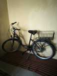 Rower damka/holenderski