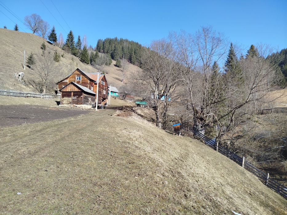 Будинок, земля, господарство в Карпатах, струмок, гори, краєвиди