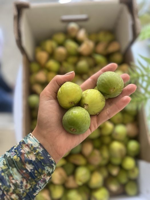 Figos Pingo de Mel e Uvas - Biologico
