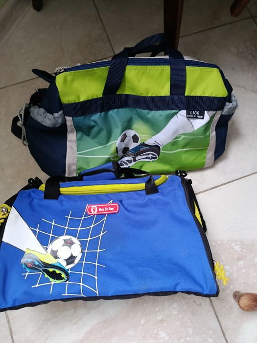 Сумки спортивні або дорожні.