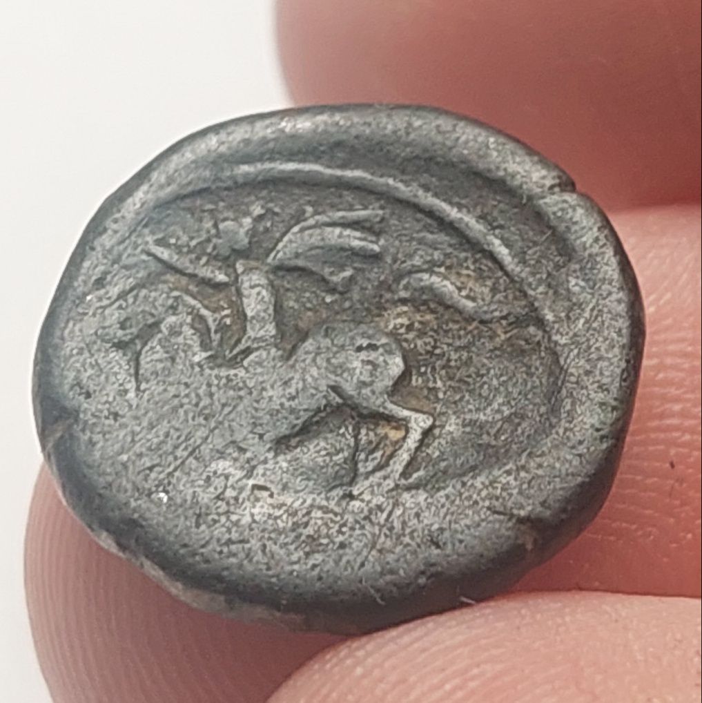 Moneta grecja p.n.e
