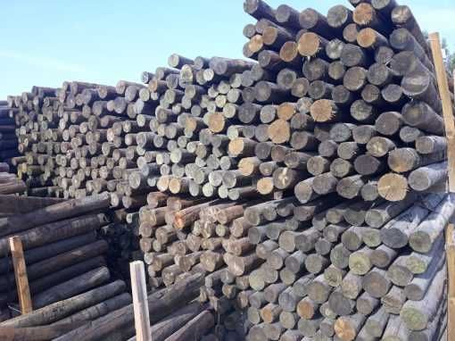 Postes de Pinho Tratados -Tosco (S/bico) (NOVO)