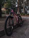 Bicicleta dirt jump whelling