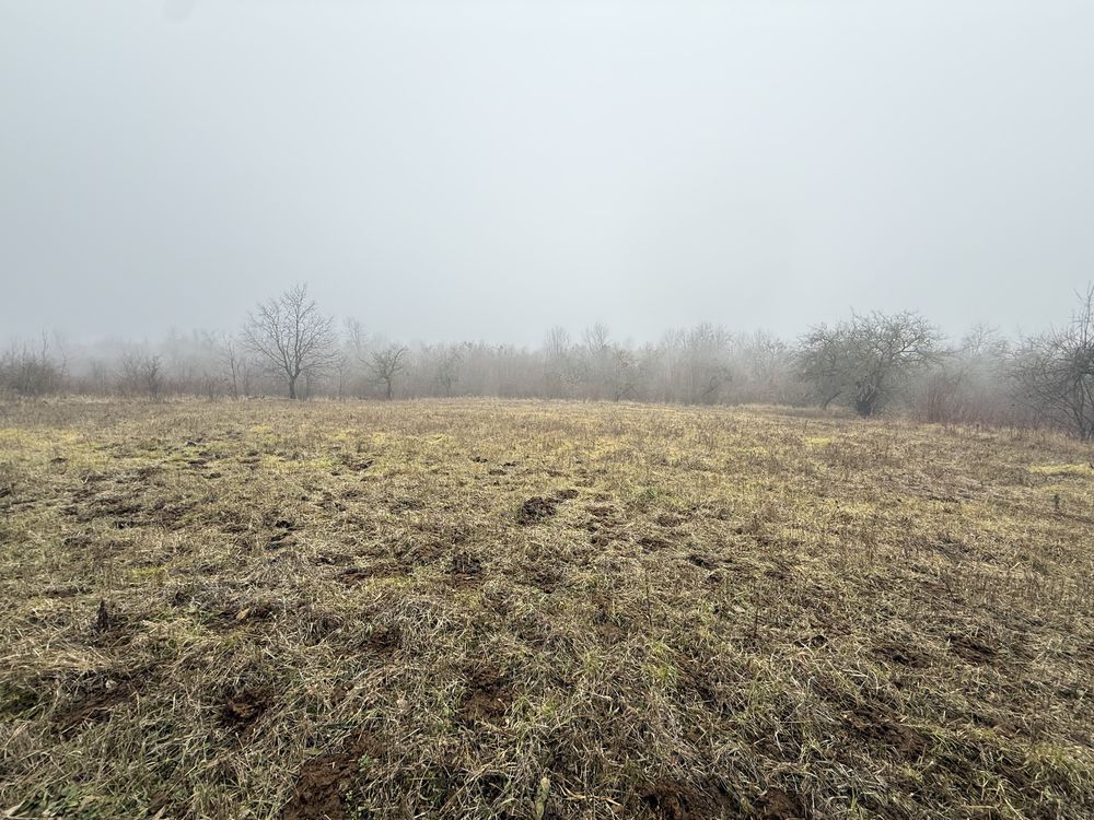 Продам або здам ОСГ/комерція/СЕС/будинок 0,5 Га Дунаївці