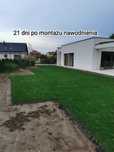Nawodnienia trawników, minikoparka, równanie terenu.