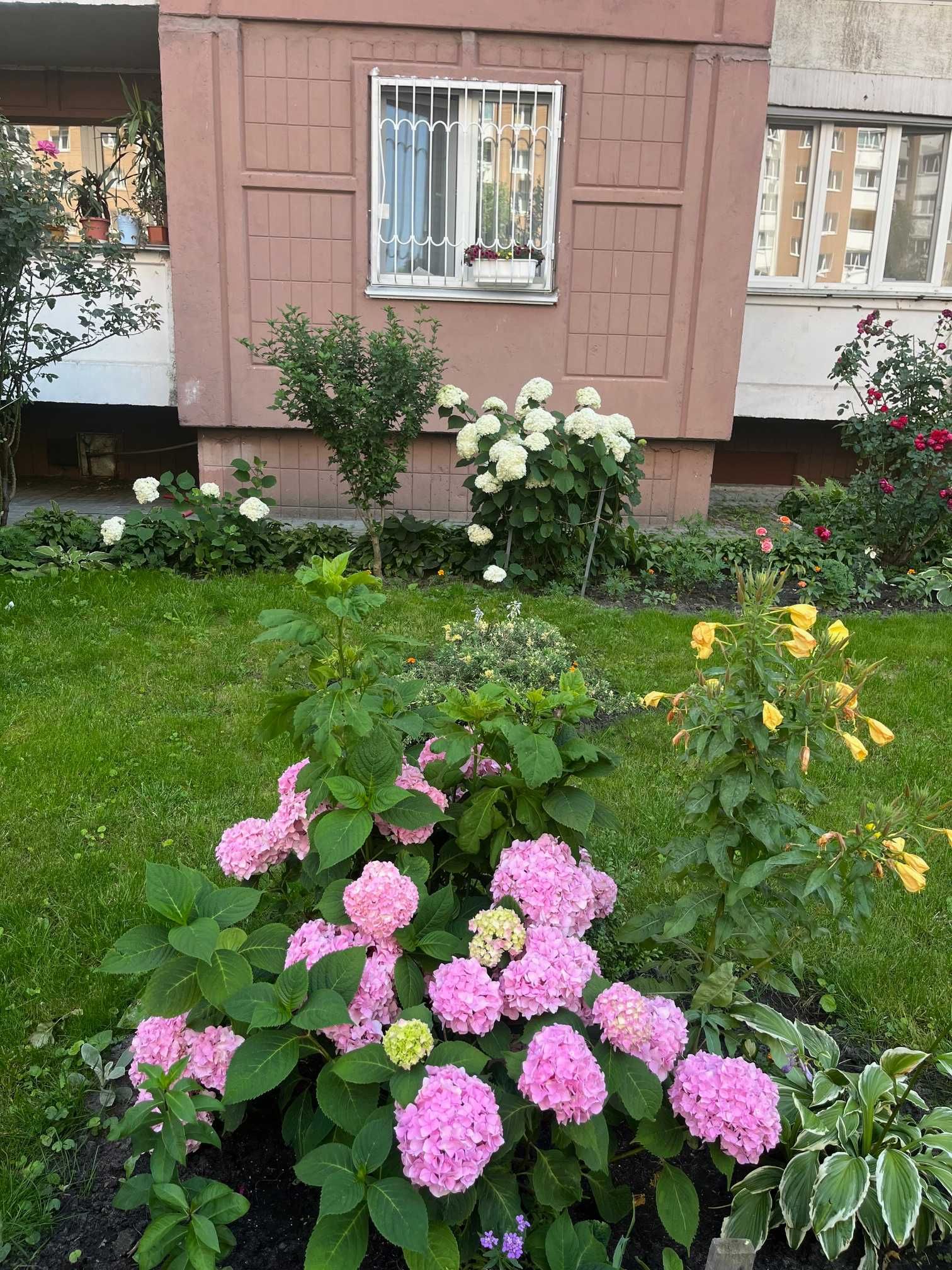 Продаж 1-кім. квартири на Позняках вул.Пчілки 2 Б