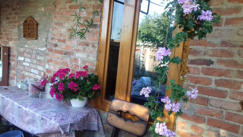 продаєм будинок із жилою літнєю кухнею