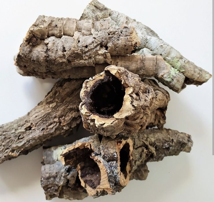 Tuby z drzewa korkowego Kraków, (Swoszowice)