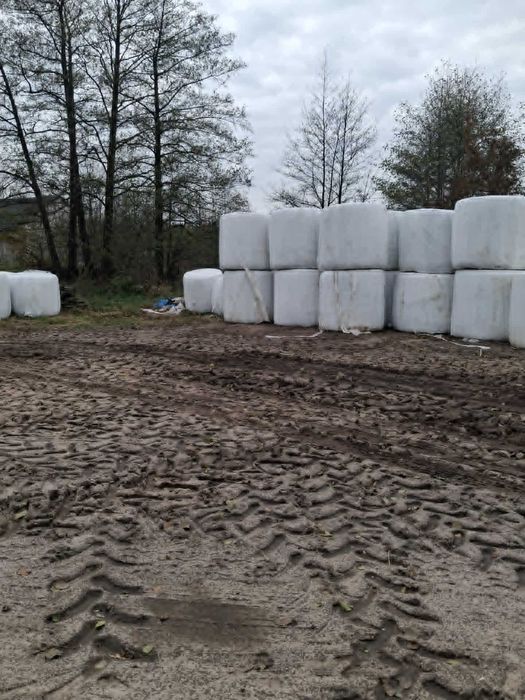 sianokiszonka z pola 130cm