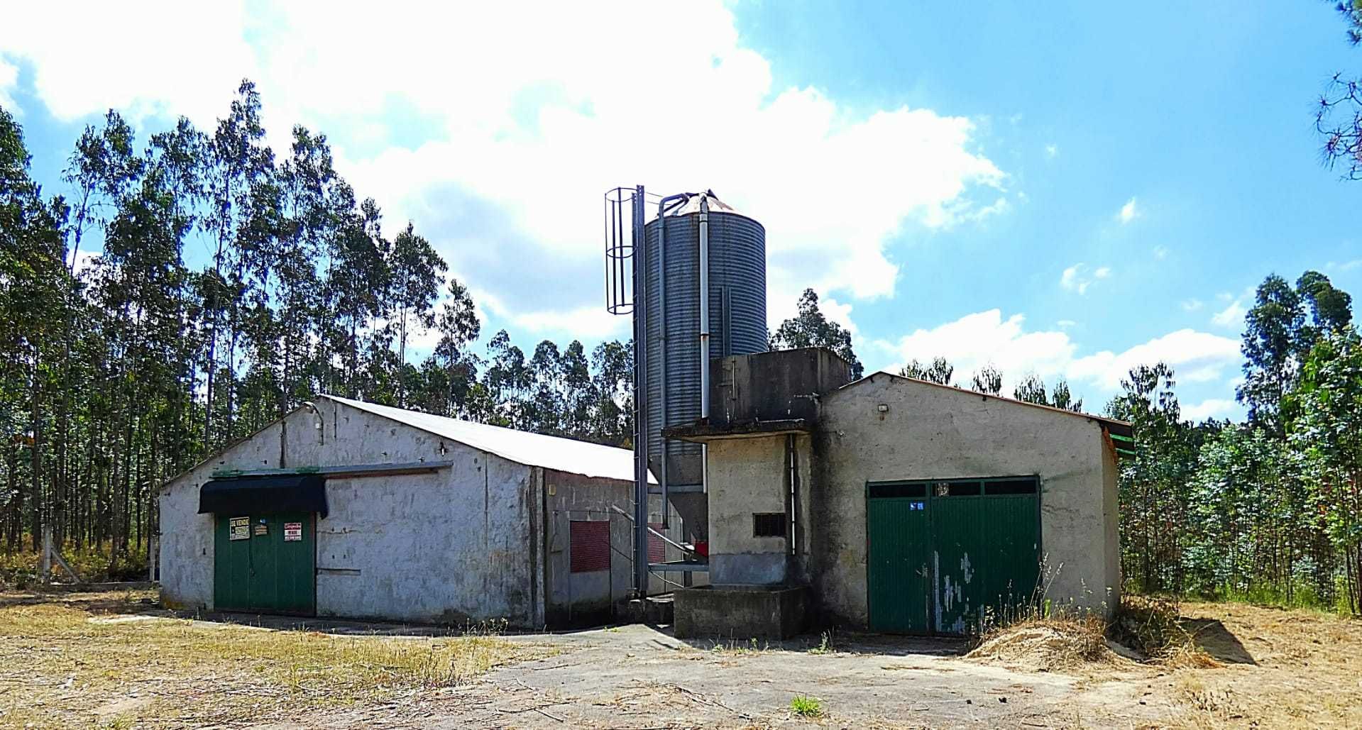 Armazém Aviário pra venda