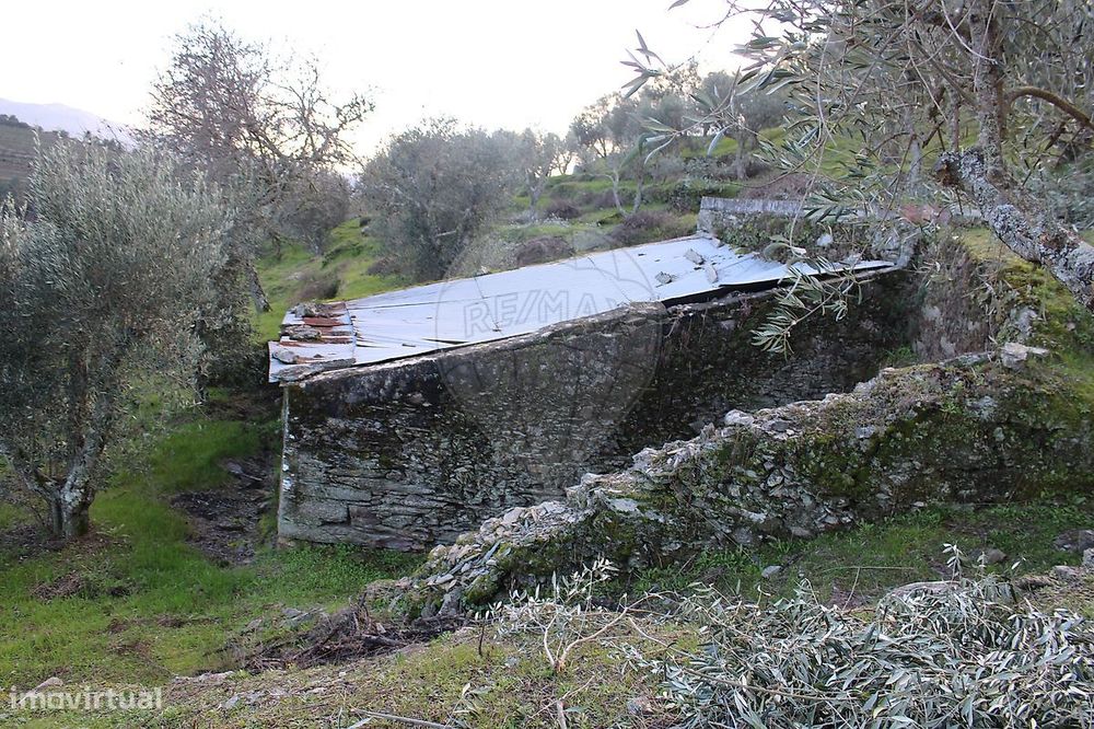 Terreno  para venda