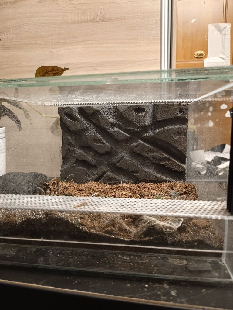 Ścianki do terrarium