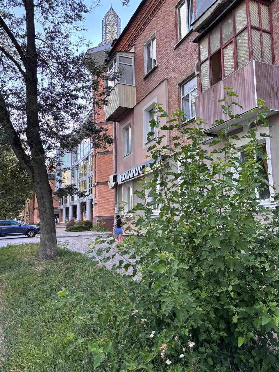 Здам офіс в Центрі міста