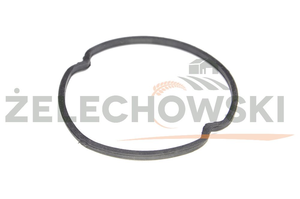 Uszczelka głowicy pompy TECNOMA