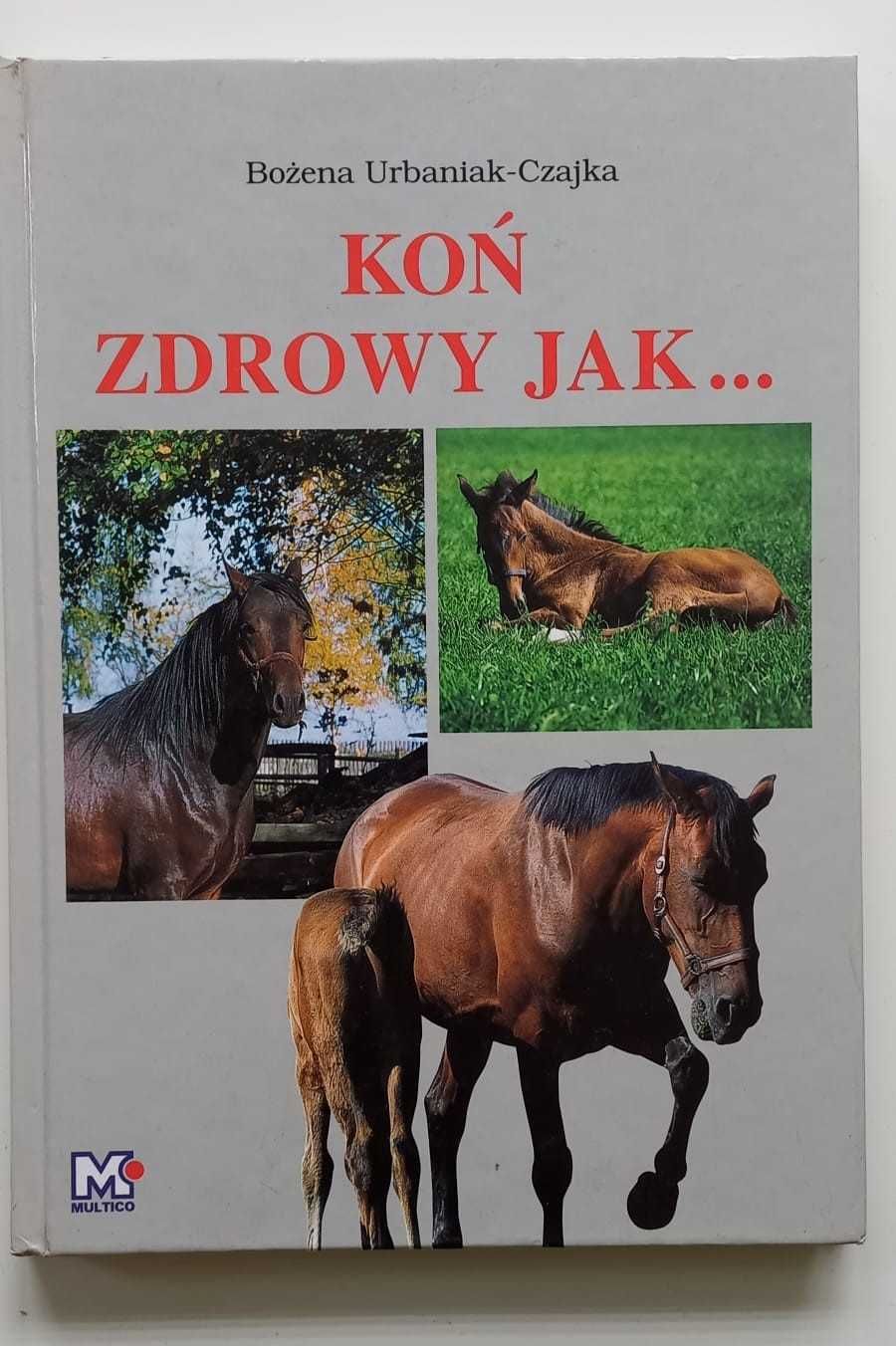 Koń zdrowy jak ... - Bożena Urbaniak - Czajka