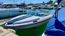 Sea Ray 200, mercruiser