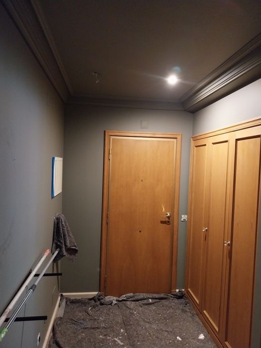 Trabalho Profissional