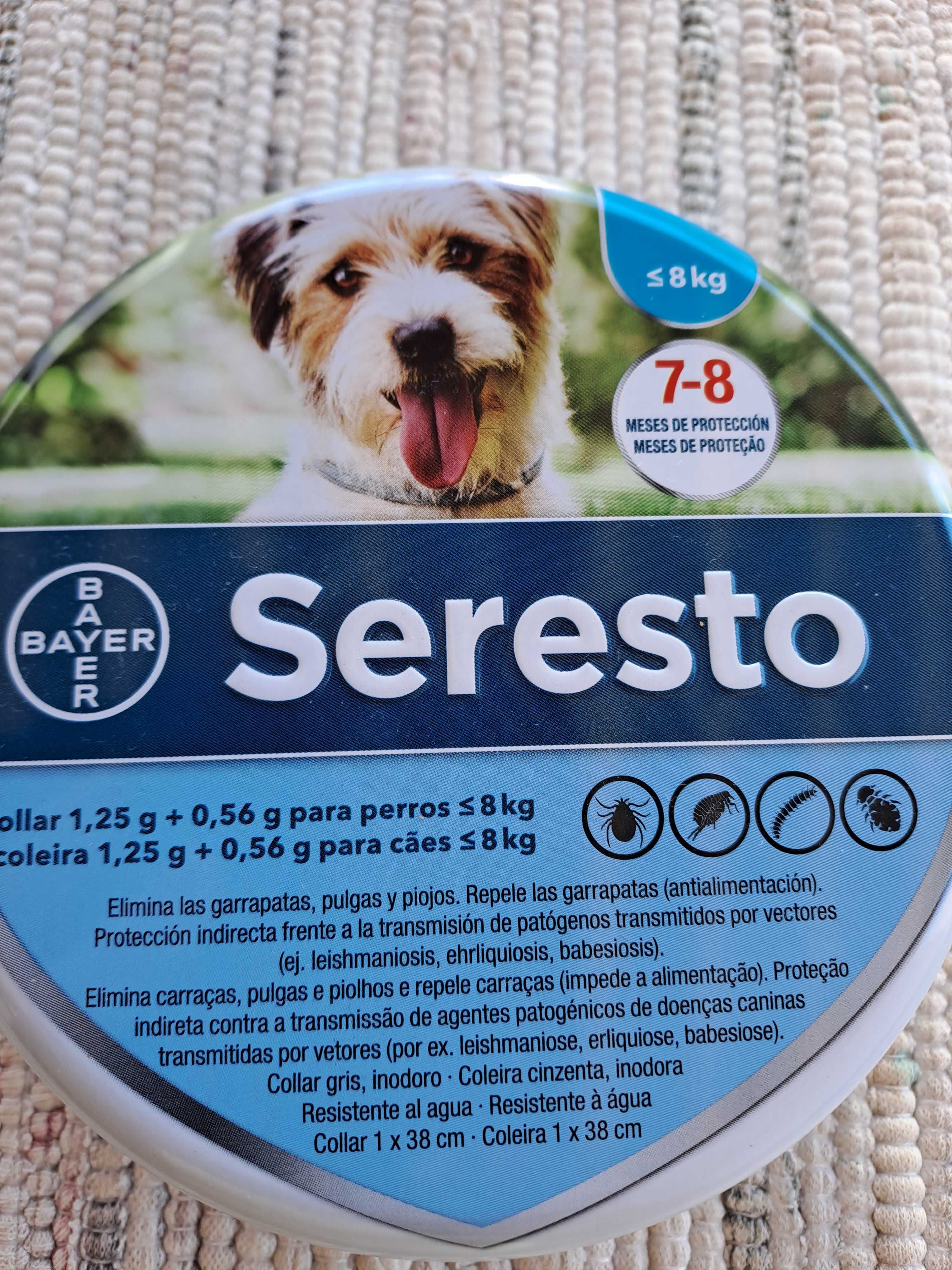 Protege  o teu animal estimação