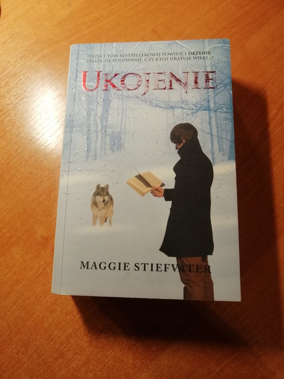 Ukojenie - Maggie Stiefvater