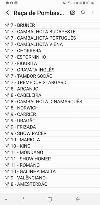 Casal pombos Galinha de Malta