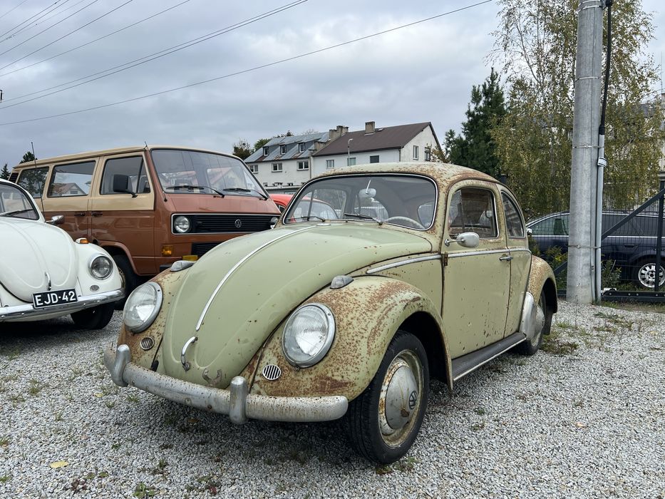 VW Garbus 1200 Mangogrun 1960