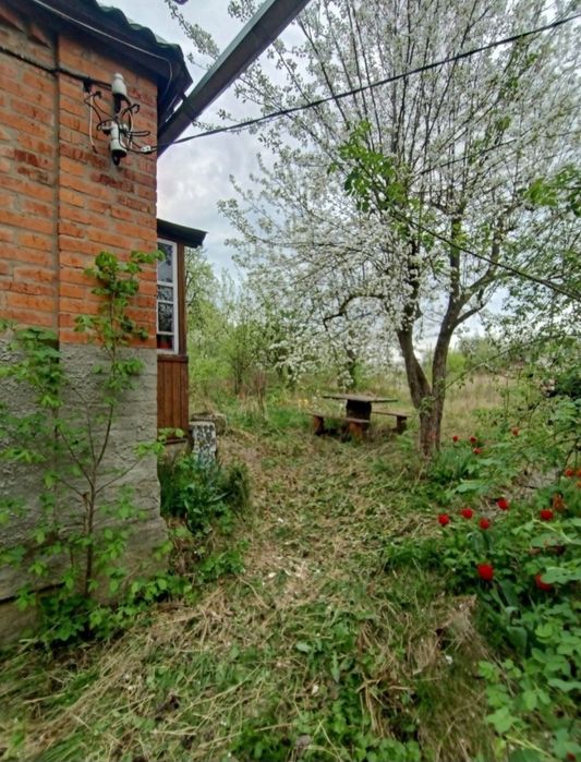 Продам дом в Солоницевском Отг (П.Безруки)