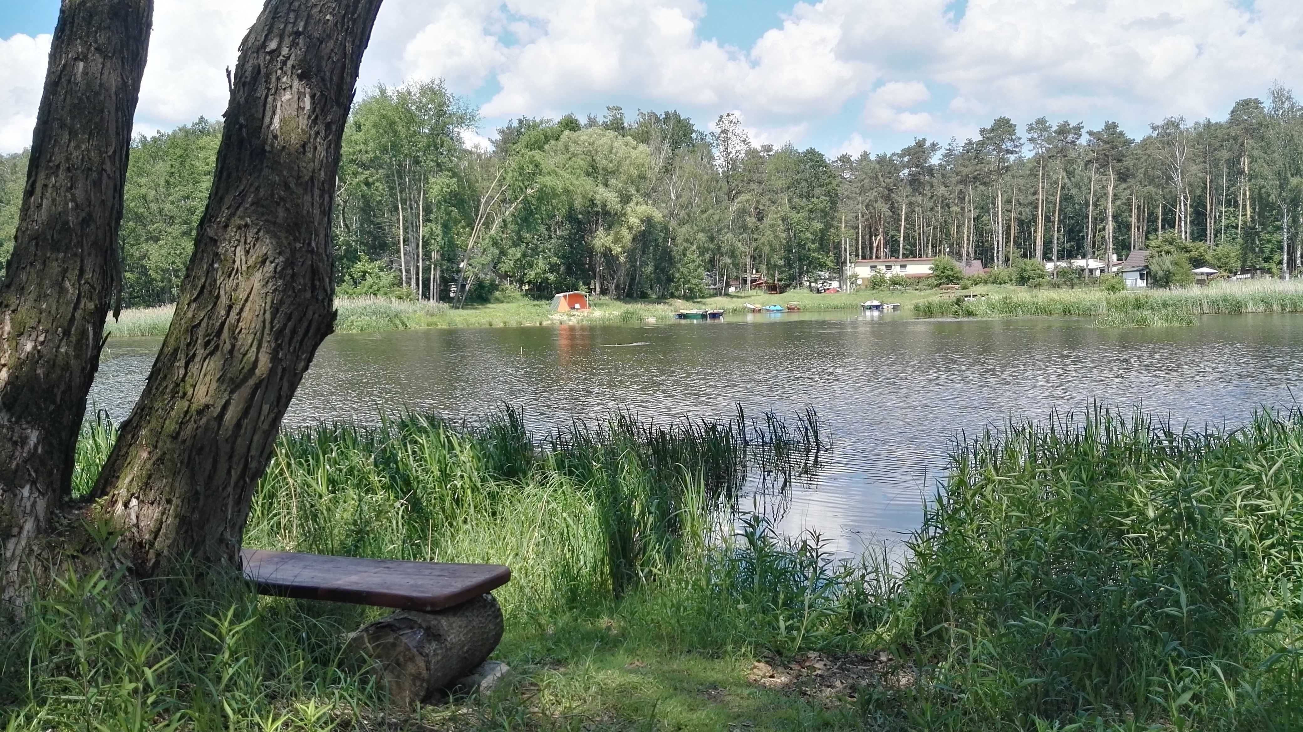 Domek Milena w Turawie z linią brzegową.