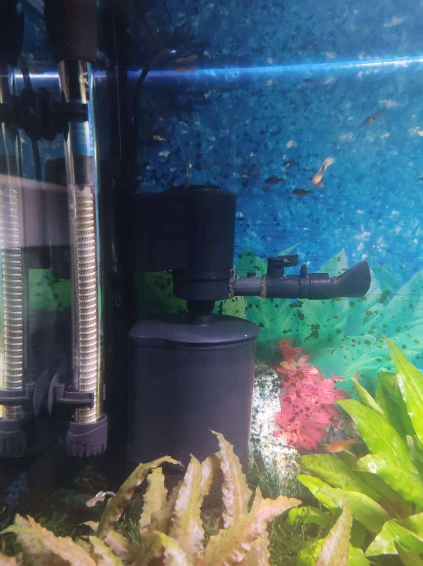 Witam sprzedam akwarium 200l