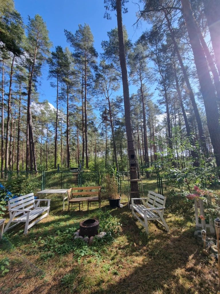 Domek letniskowy nad jeziorem Gołuń obok Wdzydz.
