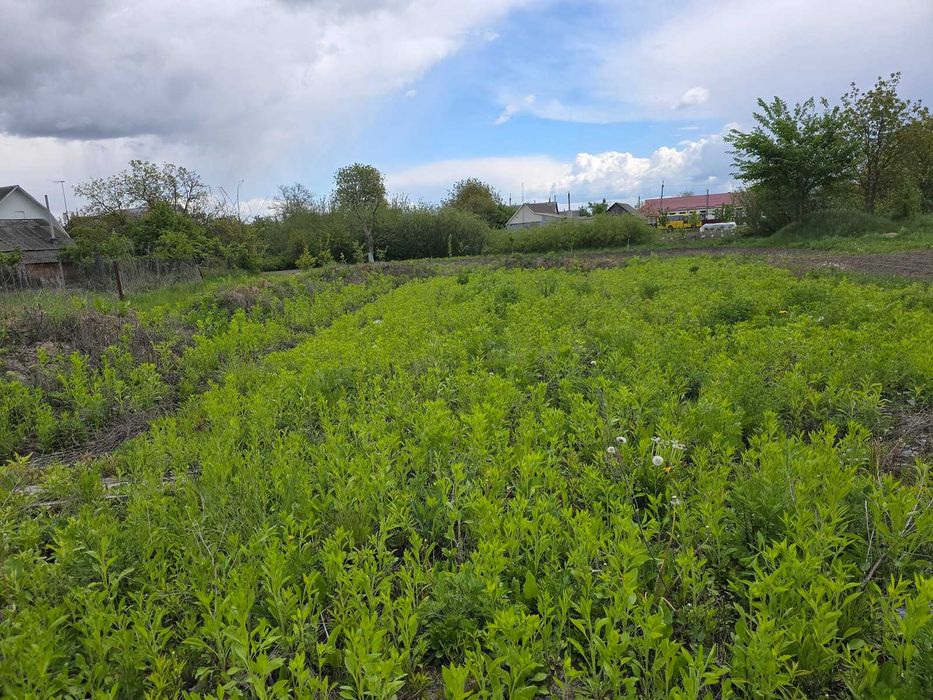 Продаж ділянки в Глибочиці з добротним фундаментом. (26151930)