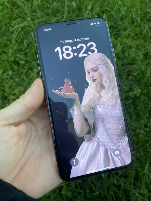 Ідеальний iPhone Xs Max | Neverlock