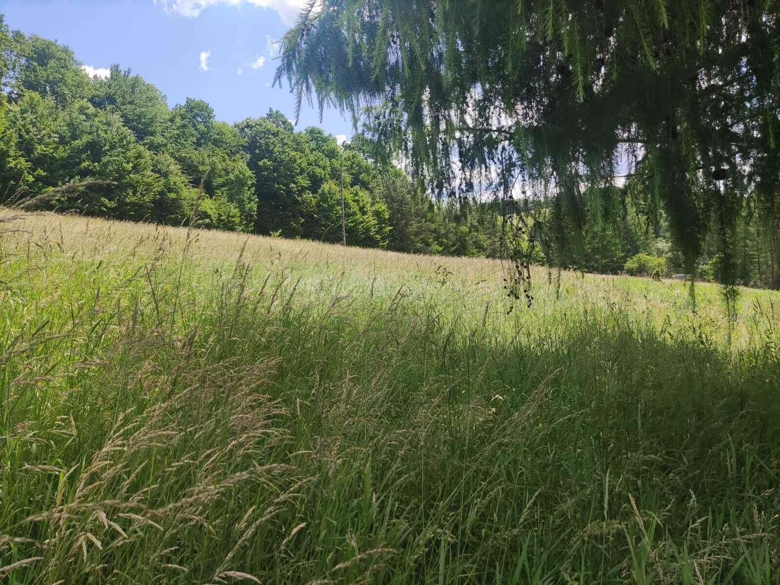 Widokowa działka w Bieszczadach - Bóbrka, gm. Solina