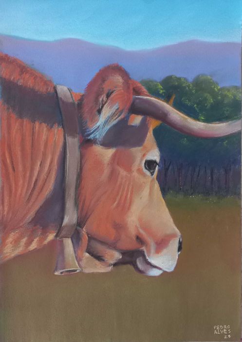 Retratos de animais a carvão (P&B), a pastel (cores) ou digital