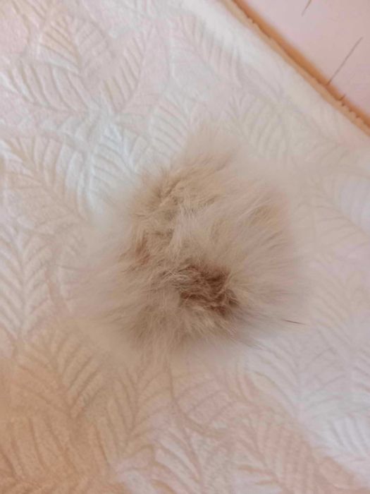 Jasna czapka ze sztucznego włosia